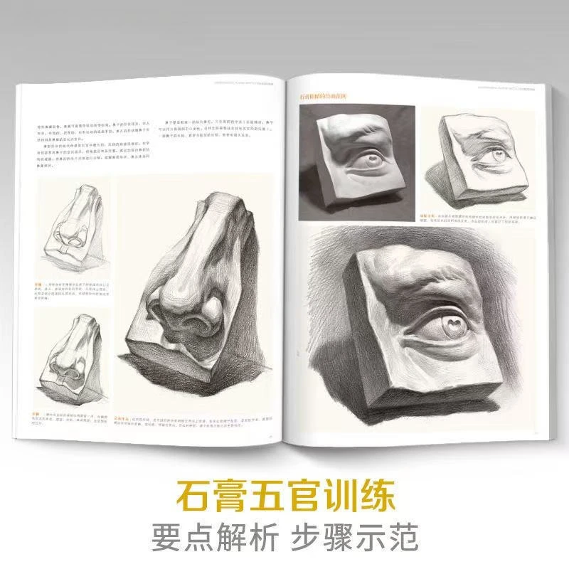 Compreendir Esboçar Estátua de Gesso: Uma Análise Integral de Técnicas em 18 Capítulos