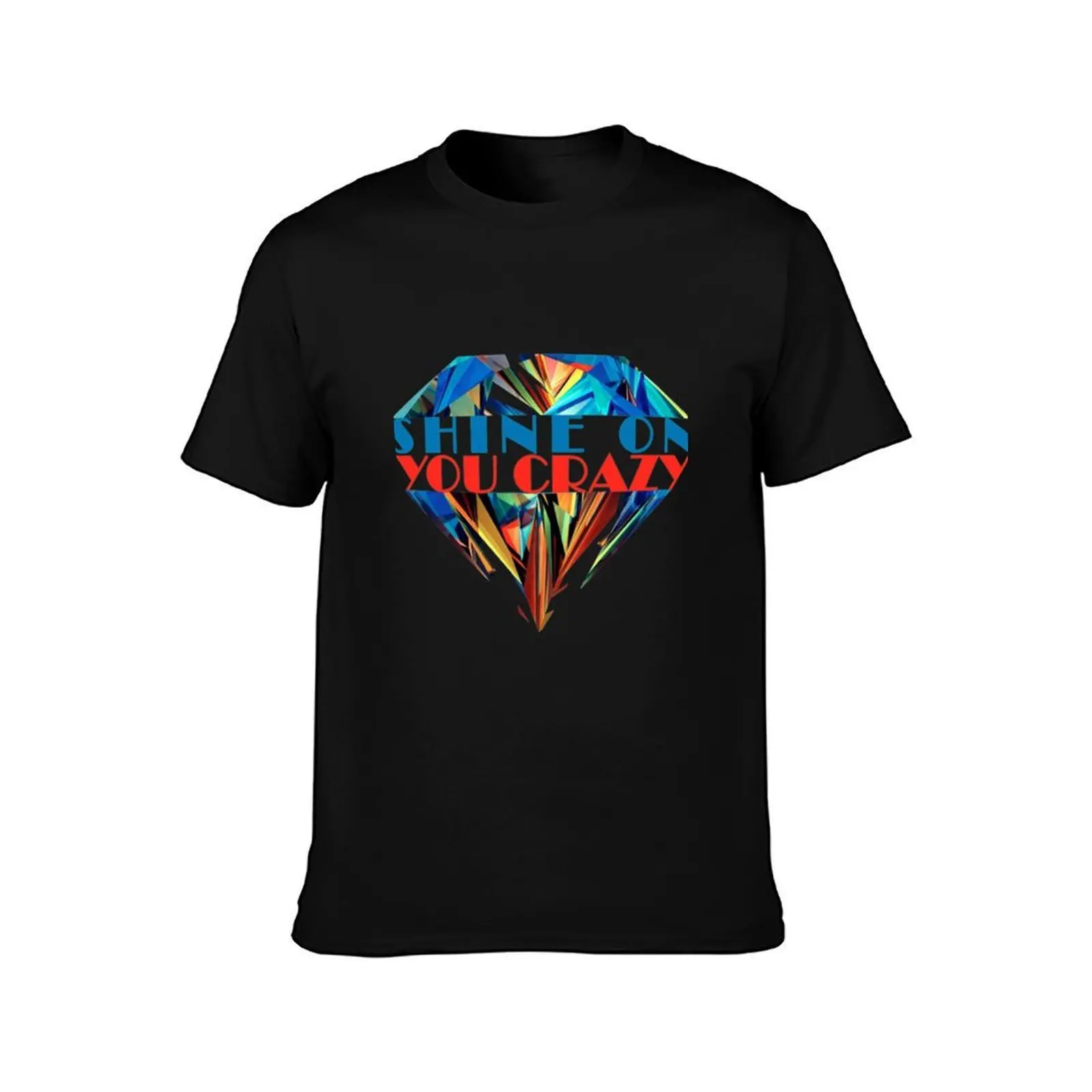 Shine On You Crazy Diamond Fitted T-Shirt, Summer Casual Cotton Tee, Oversized Streetwear Tops, Vintage Graphic Print
