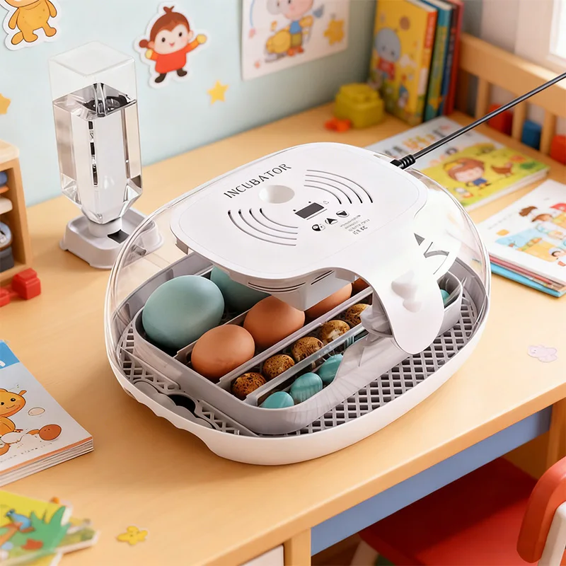 

Egg Automatic Incubator Auto Turning Temp Control Egg Candler Cycle Air Duct Universal Egg Tray Easy Clean Home Poultry Hatcher