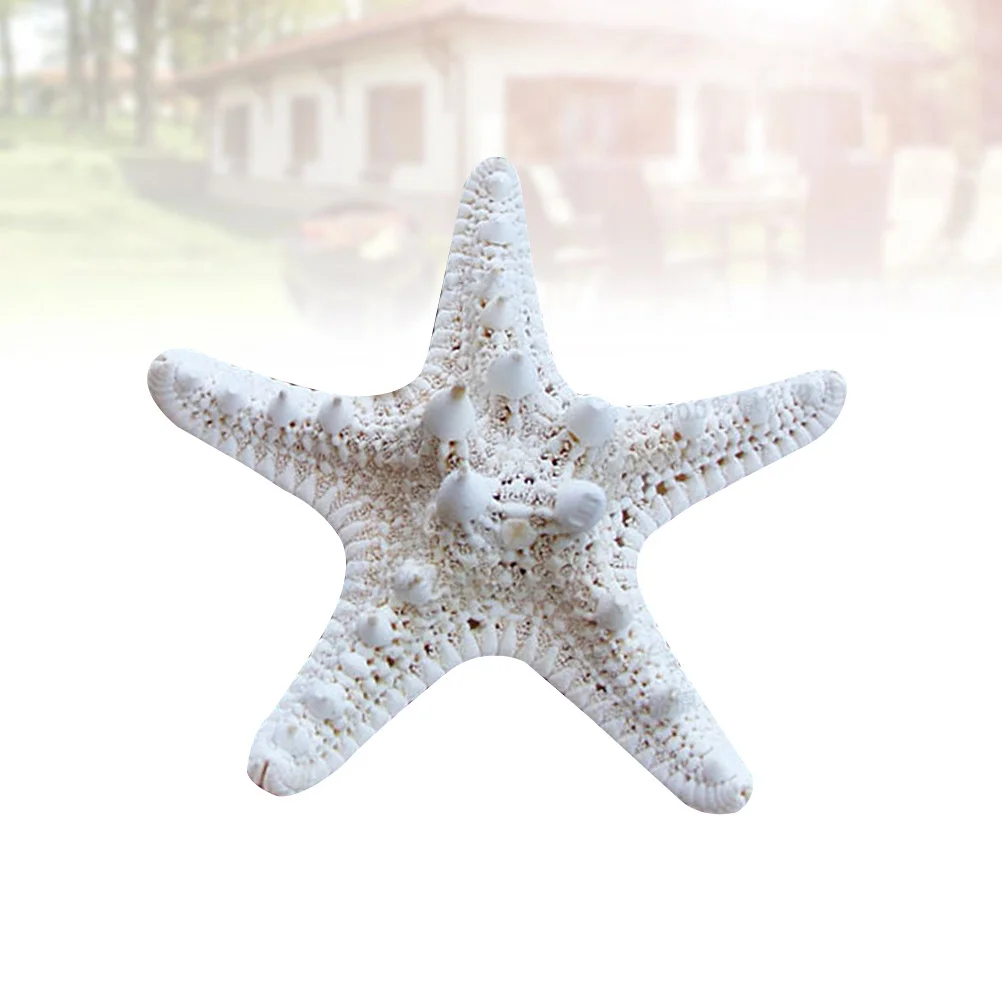 

2Pcs Realistic Sea Star Ornaments Beach Style Home Decor for Art Gallery Restaurant Christmas Tree Decoration Use