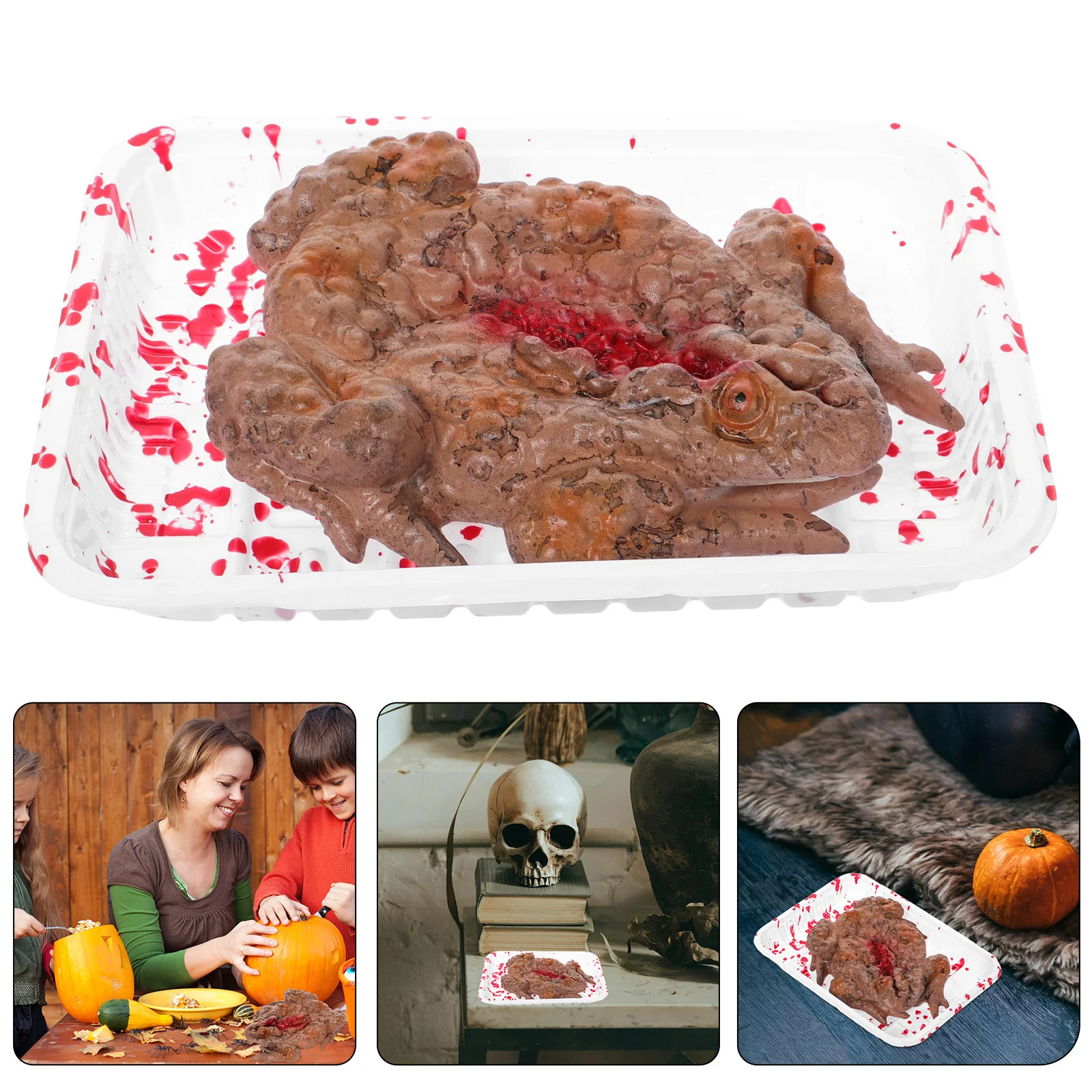 

Realistic Large Colorful Spider Horror Toad Tray Scary Meal Box Halloween Decor Scary Yard Prop Haunted House Prank Prop