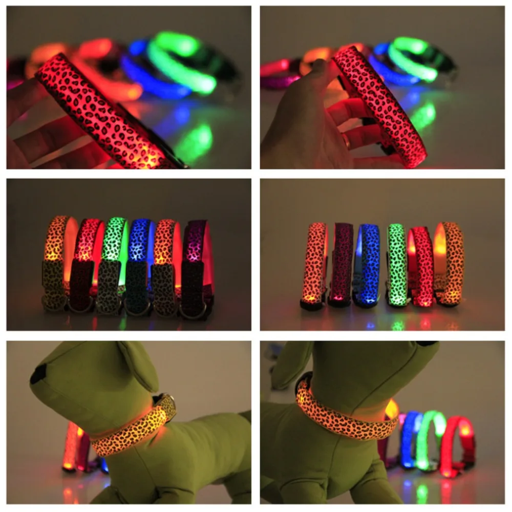 Thumbnail 4 - #8 Latest LED Puppy Collars Updates
