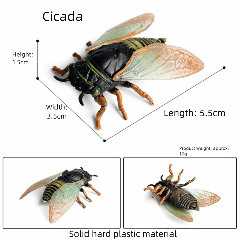 New Simulation Insect Model Figures Plastic Butterfly Animals Model Set Cicada Dragonfly Children Novelty Horror Props
