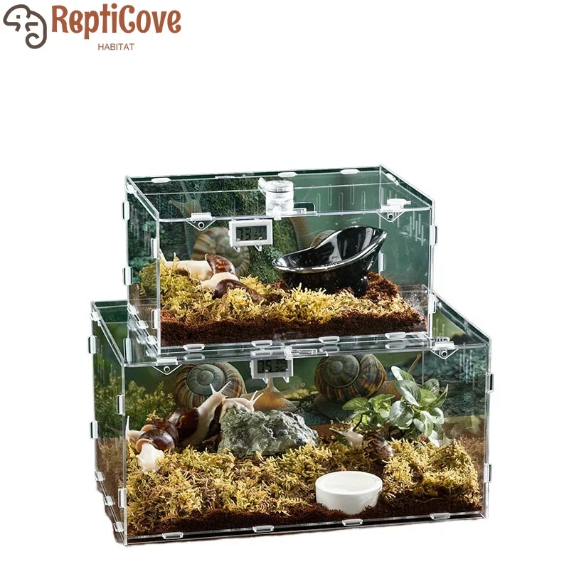 

Набор для разведения улиток из белого нефрита, акриловый сборный террариум для разведения и наблюдения за улитками, домашний настольный контейнер для содержания