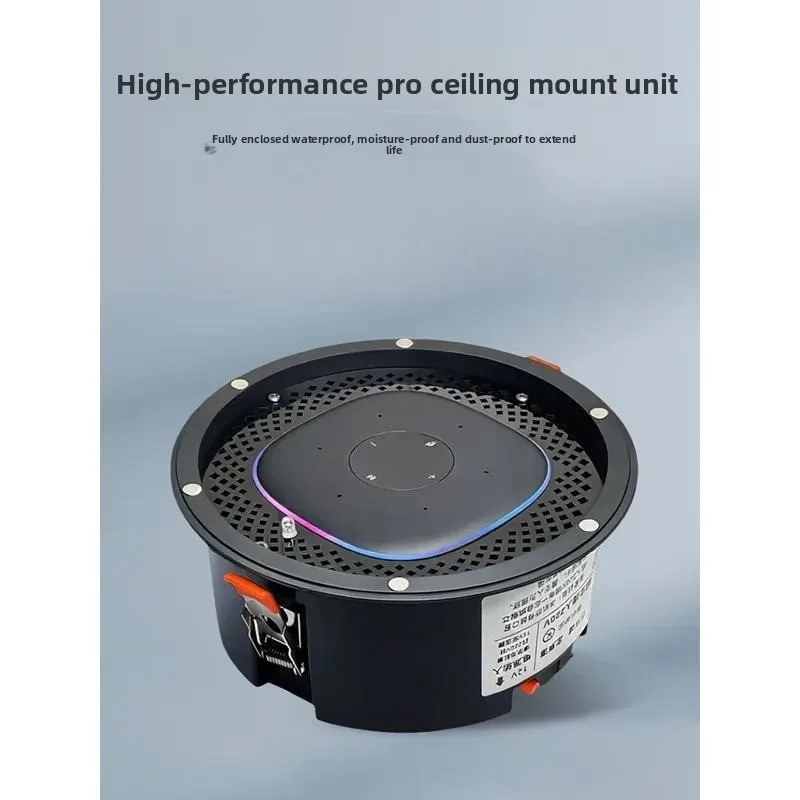 Ceiling Mounted Audio Speaker, Wireless Bluetooth Built-in Sound Device for Indoor Background Music