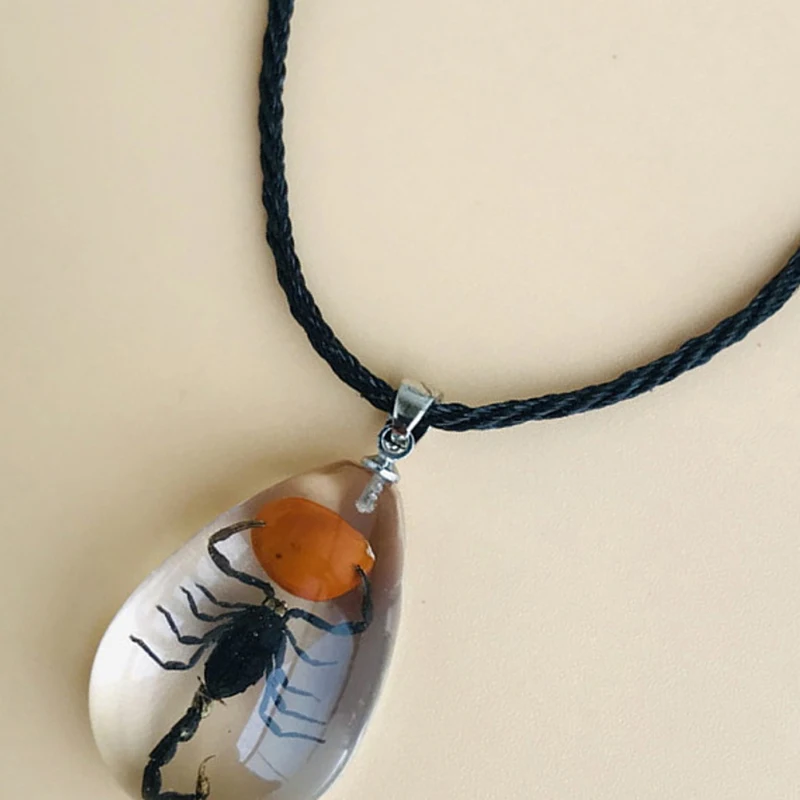 Gothic Resin Scorpion Pendant Necklace For Women Fashion Insect Specimen Vintage Necklace Aesthetic Jewelry