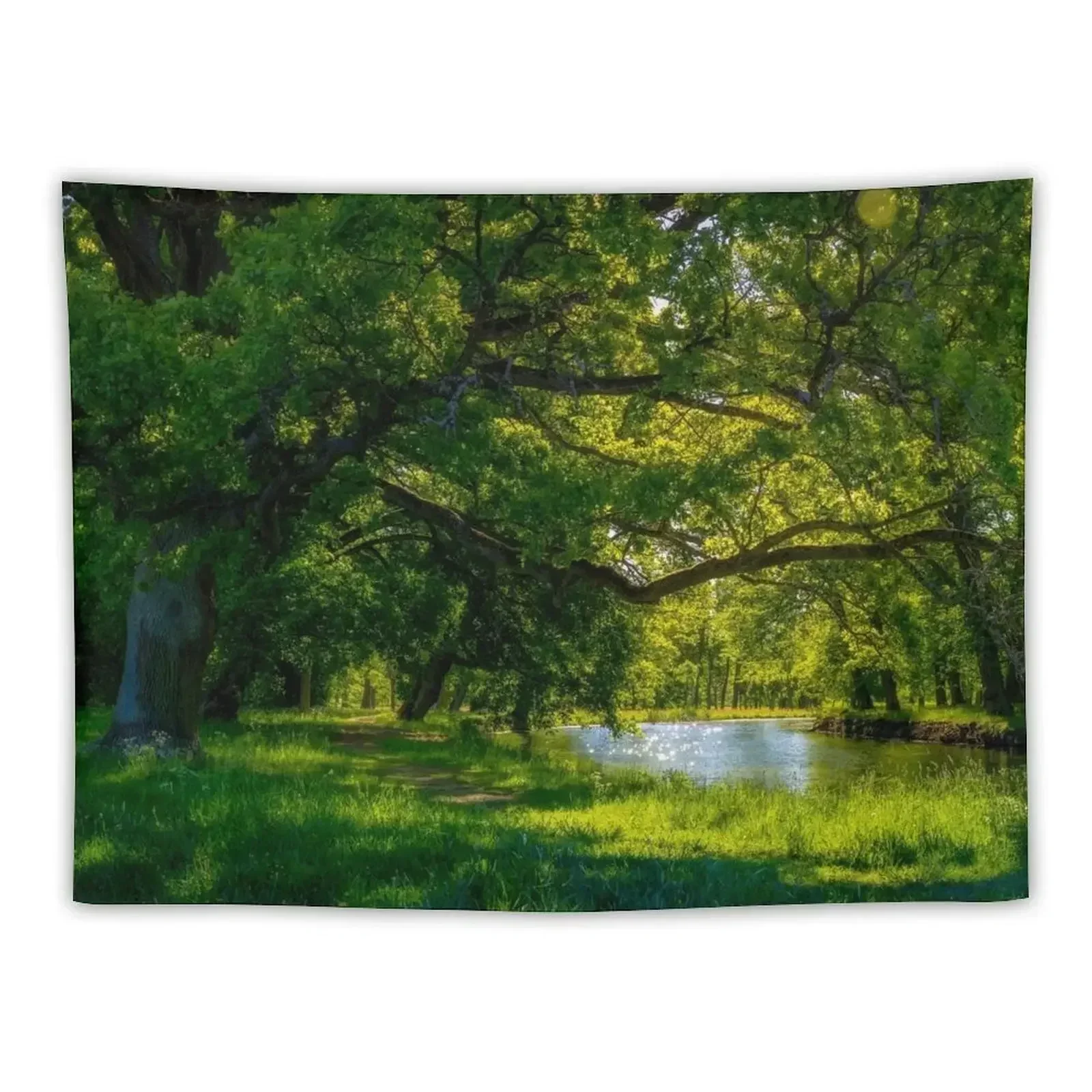 

Summer Morning in the Park Tapestry Room Decorator Aesthetic Room Decors Decor For Room Decorations Aesthetics Tapestry