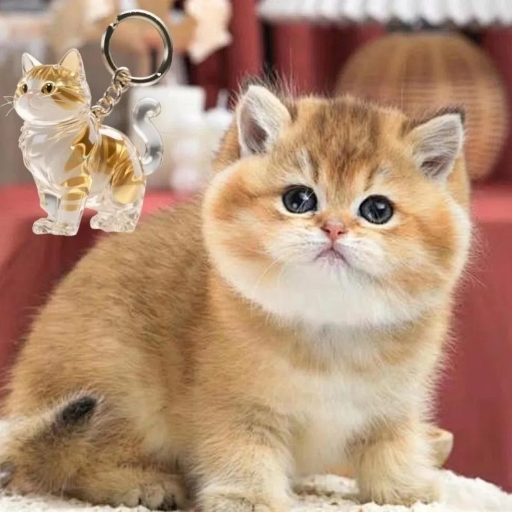Transparent Cat Hair Storage Box Capsule Shape Maine Dog Fur Container Bag Charm Pet Hair Memorial Keepsake for Pet Lovers