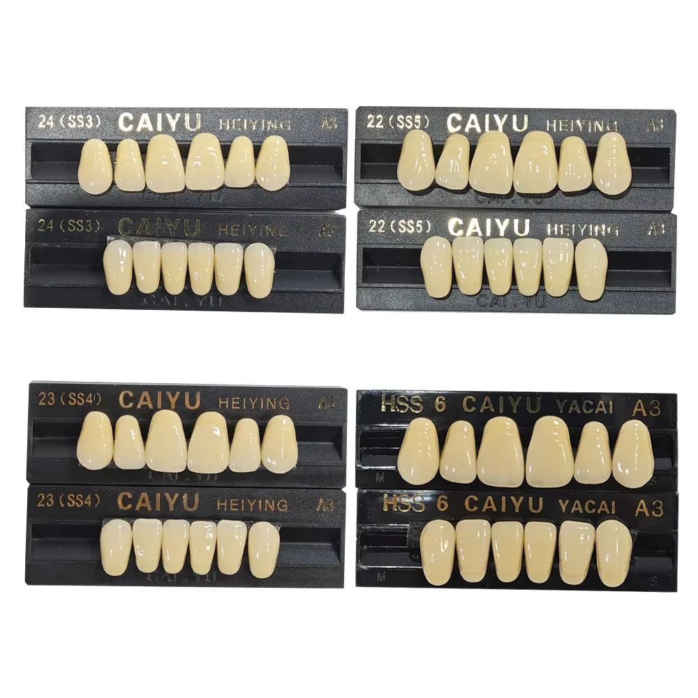 Fotografia 3: 1 Caixa de Dentes de Resina Dental, Dentes de Resina Acrílica Sintética A1 A2 A3, Próteses Dentárias Pré-formadas para Arcada Superior e Inferior, Suprimentos Odontológicos