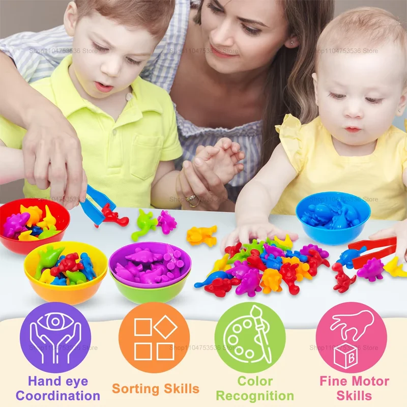 Cognizione animale Giocattoli educativi sensoriali Montessori Arcobaleno Ordina gioco di abbinamento Impara e addestrare Abilità motorie fini Regali per ragazzi e ragazze
