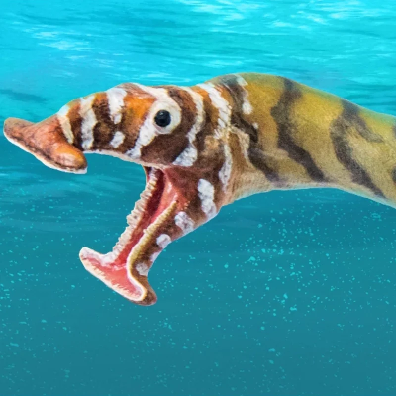 Nowy Model Dinozaura Król Dinozaurów 33 Cephalosaurus Zewell Figurka Statyczna Dorastająca Zwierzę Ozdoba Kolekcjonerska Zabawka Prezent