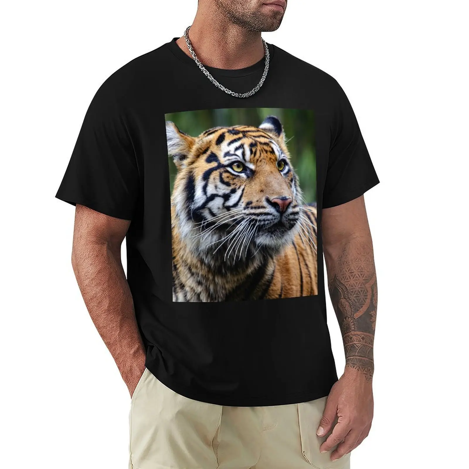 

Adult Male Orange and Black Malayan Tiger Face T-Shirt valentines boutique clothes quick-drying anime mens cotton t shirts