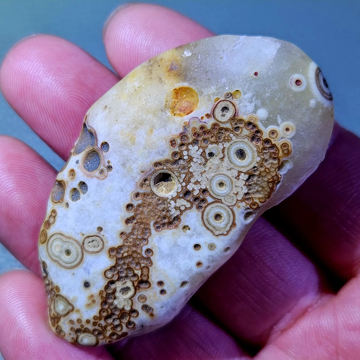 Fortune Bringing Natural Ocean Jasper Palm Stone Madagascar Orbicular Eye Crystal Luck Wealth Energy Stone