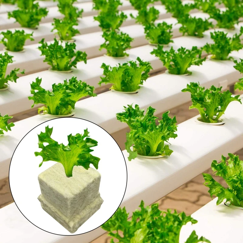 50 قطعة 25x25x25 مللي متر الأسبستوس المائية الشتلات كتل المائية زراعة النبات الشتلات الركيزة البذور إنبات كتلة