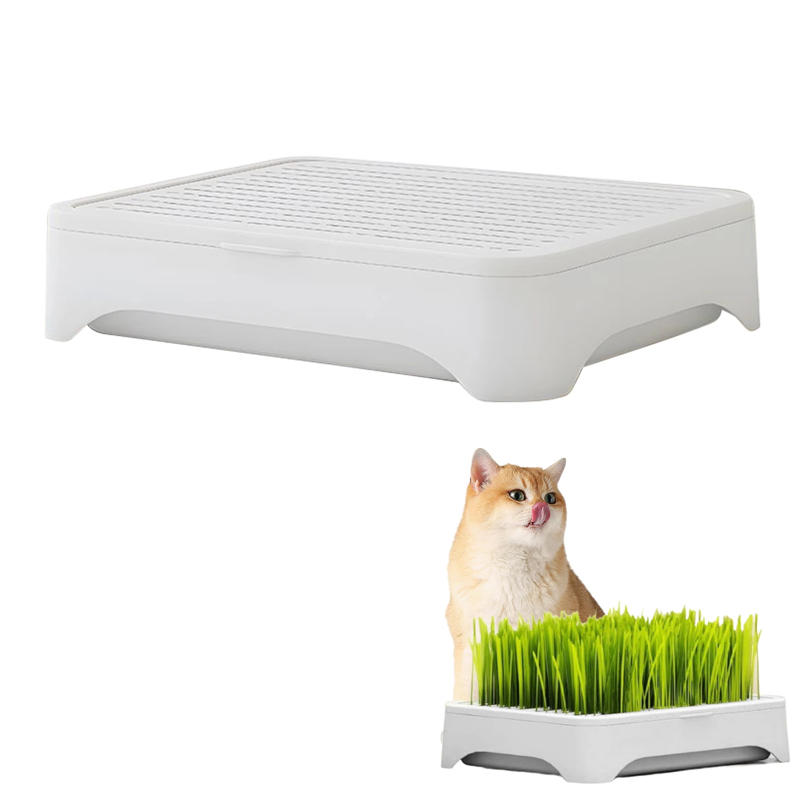 Kit de cultivo de grama para gatos, hidropônico, plantador de grama para animais de estimação, caixa de plantio de plástico com sementes de grama de trigo para gatos internos
