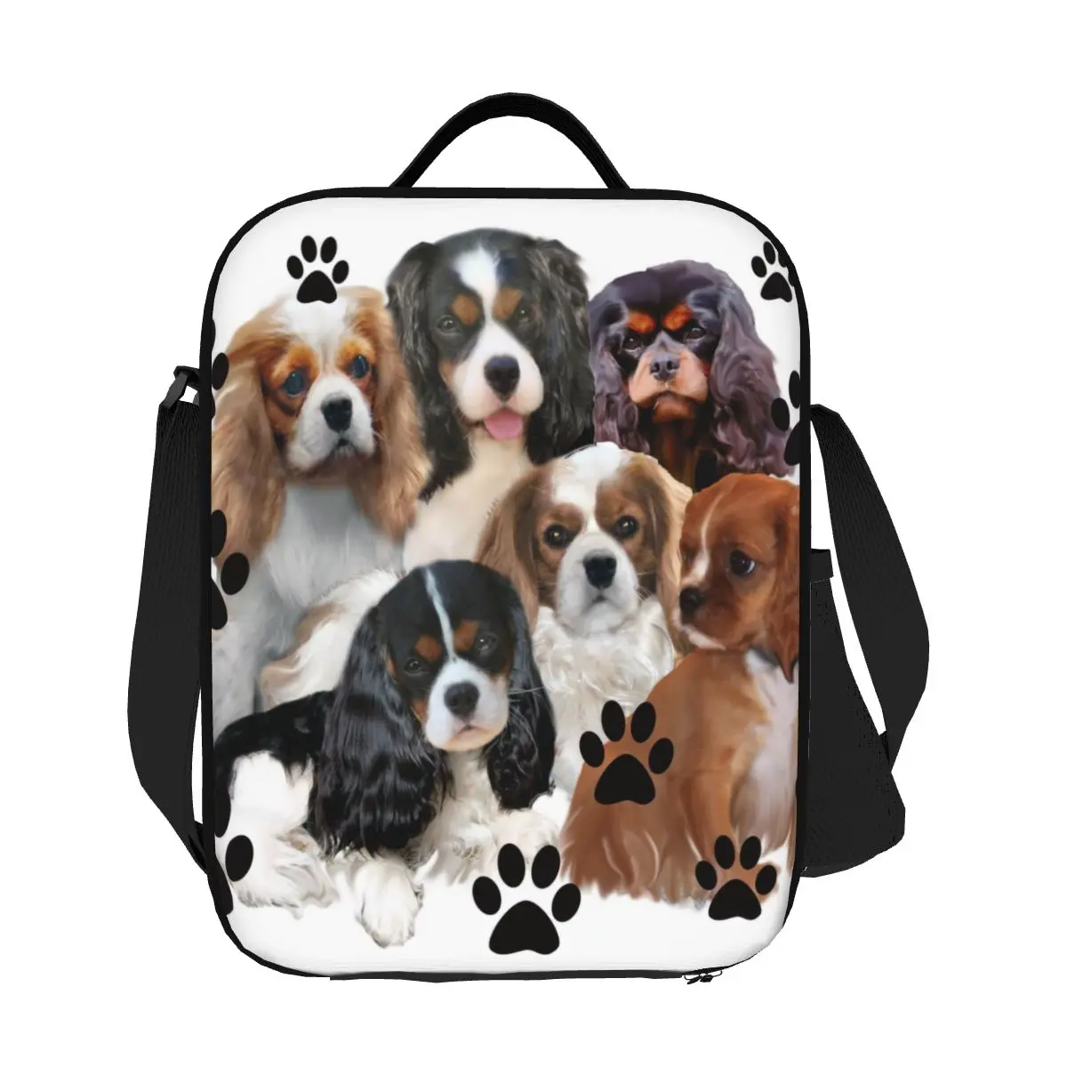 Portátil Leakproof lancheiras, refrigerador do cão, comida térmica, isolado, personalizado, Cavalier King, William, Spaniel, grupo familiar