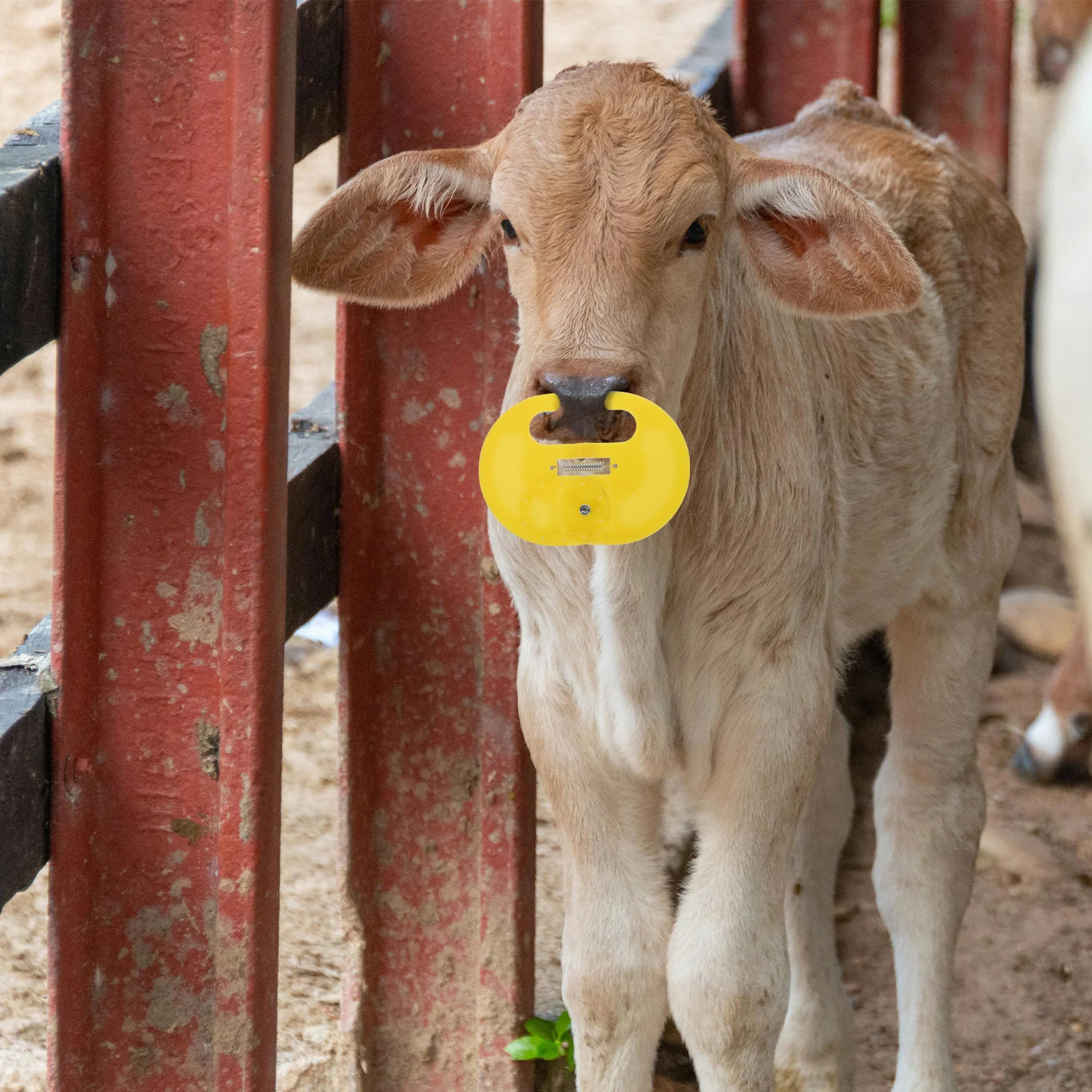 

1 set 1 Set Cattle Nose Ring Small Calf Weaner Durable Cow Nose Rings Farm Livestock Weaning Tool Portable Cattle Supplies Calf