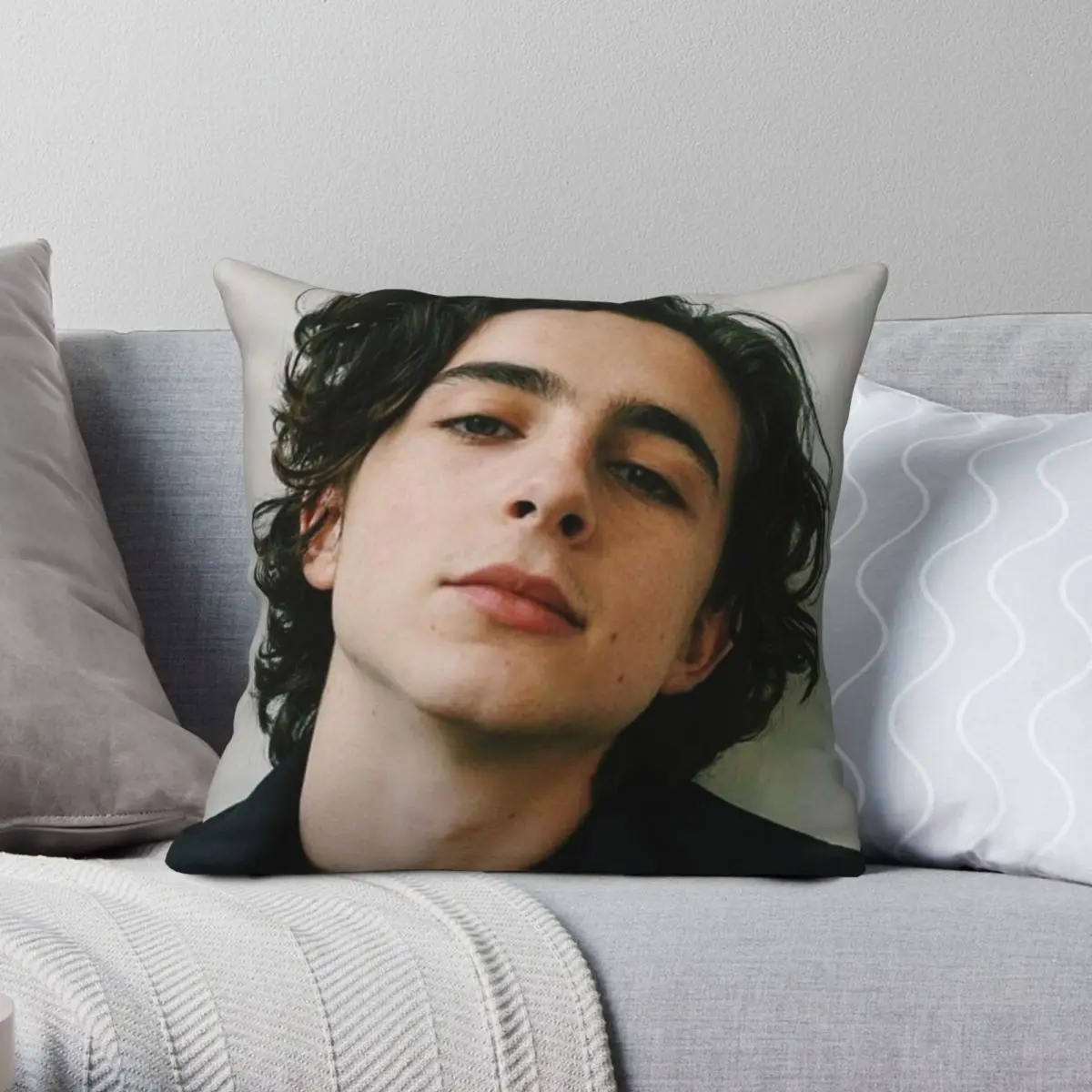 

Timothe Chalamet Pillowcase Polyester Linen Velvet Printed Zip Decor Car Cushion Cover