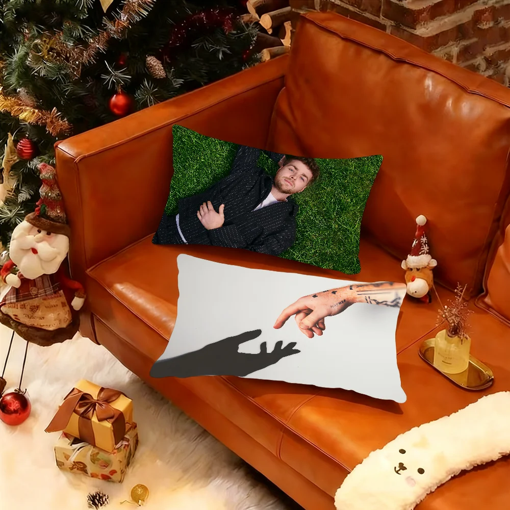 Singer A-Alex W-Warren cushion cover Rectangle Pillow Case Printing Bedside Sofa Room Home Decoration Pillowcase