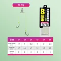 Type B1
