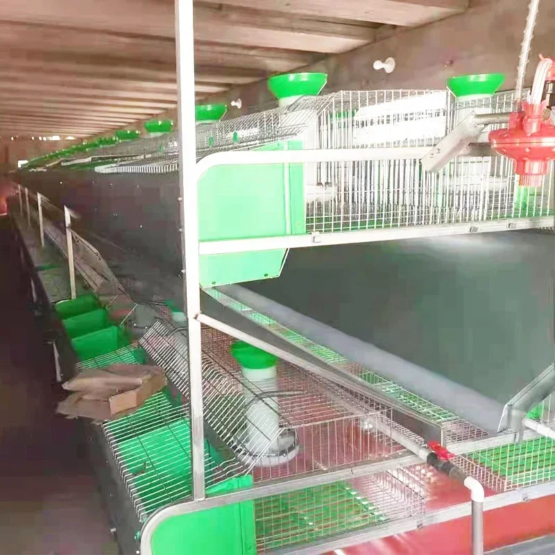 Hot SalesHot SalesHot Selling High Quality Customized Hot Dip Galvanized Material 3 Layer 4 Layer Rabbit Cage