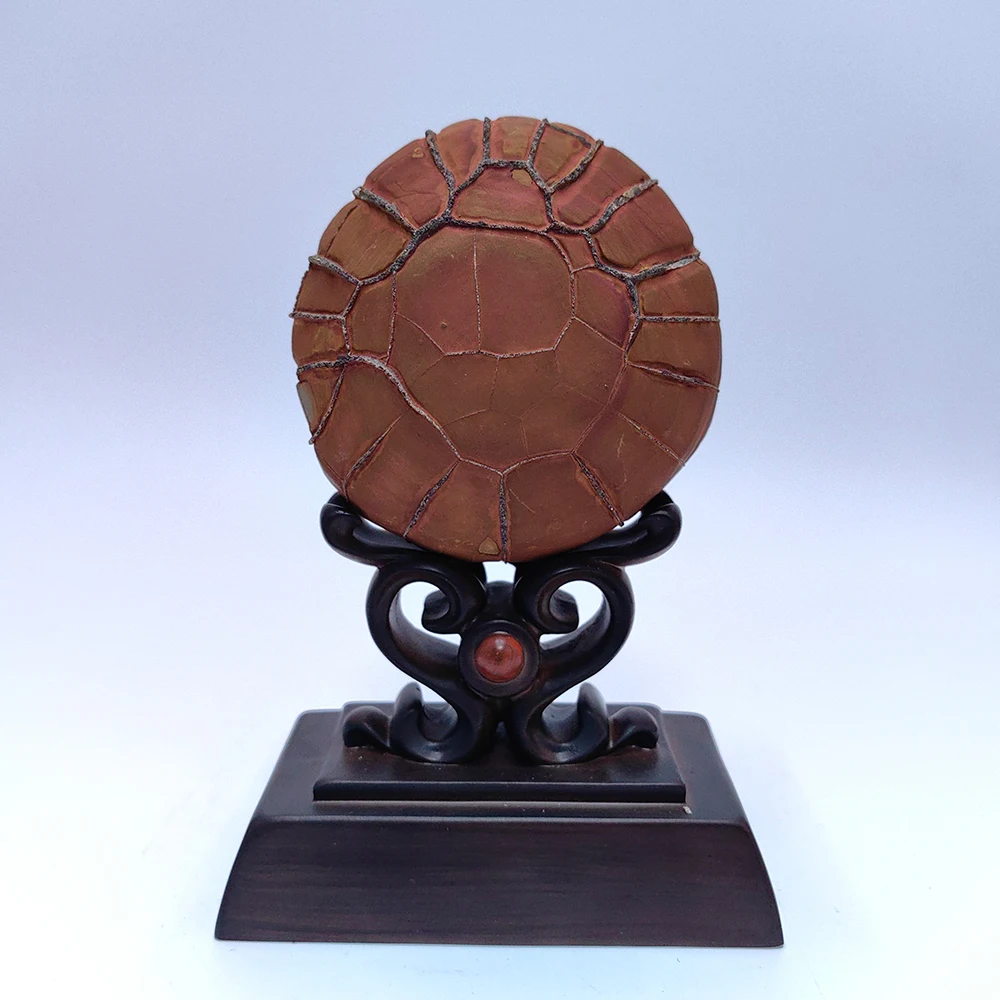 1PC Crystals Room Decoration Bronzite Natural Precision Collect Mountain Be Different From Others Asian Natural Stone Rock Reiki