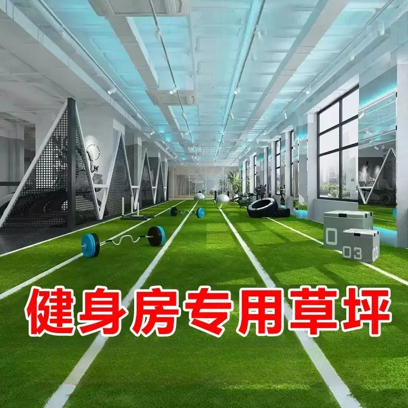 Gym Turf, Indoor Private Training White Line Track Custom, Scale Mark Sled, Sports Turf, turf Carpet