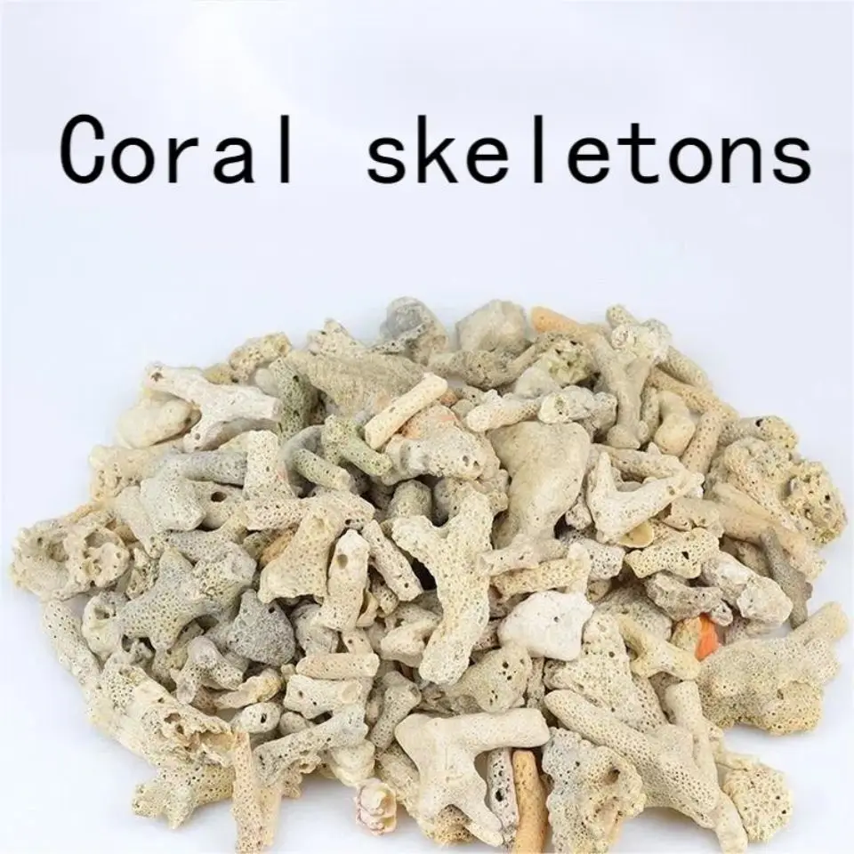 Coral Bone Fish Tank Filter Material High Quality Coral Sand Coral Stone Broken Coral Bone Decorative Aquarium Landscape Filter