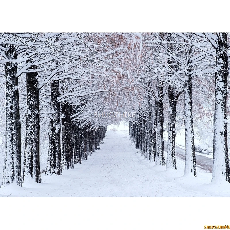SHUOZHIKE Thin Cloth Photography Backdrops Prop Snow scene Photography Background  2021112XJ-06