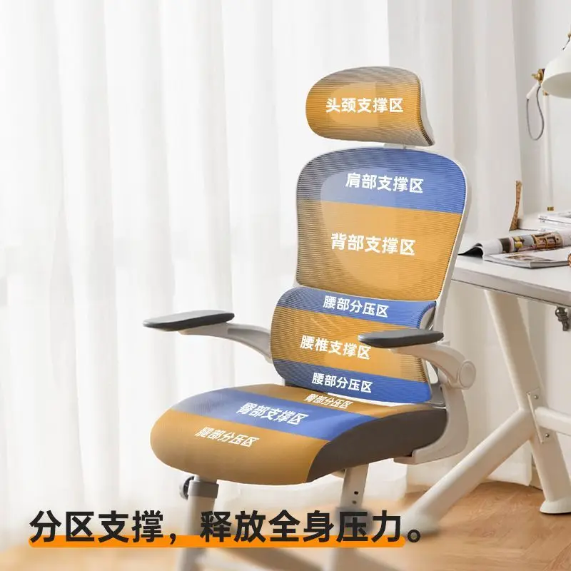 Kursi Belajar Y7F untuk Siswa SMP, Kursi Ergonomis untuk Menulis, Penyangga Pinggang, Meja Kantor