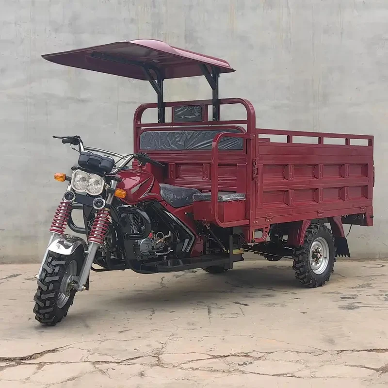 

High Quality 250cc Water Cooling Petrol Cargo Tricycle with Double Wheel