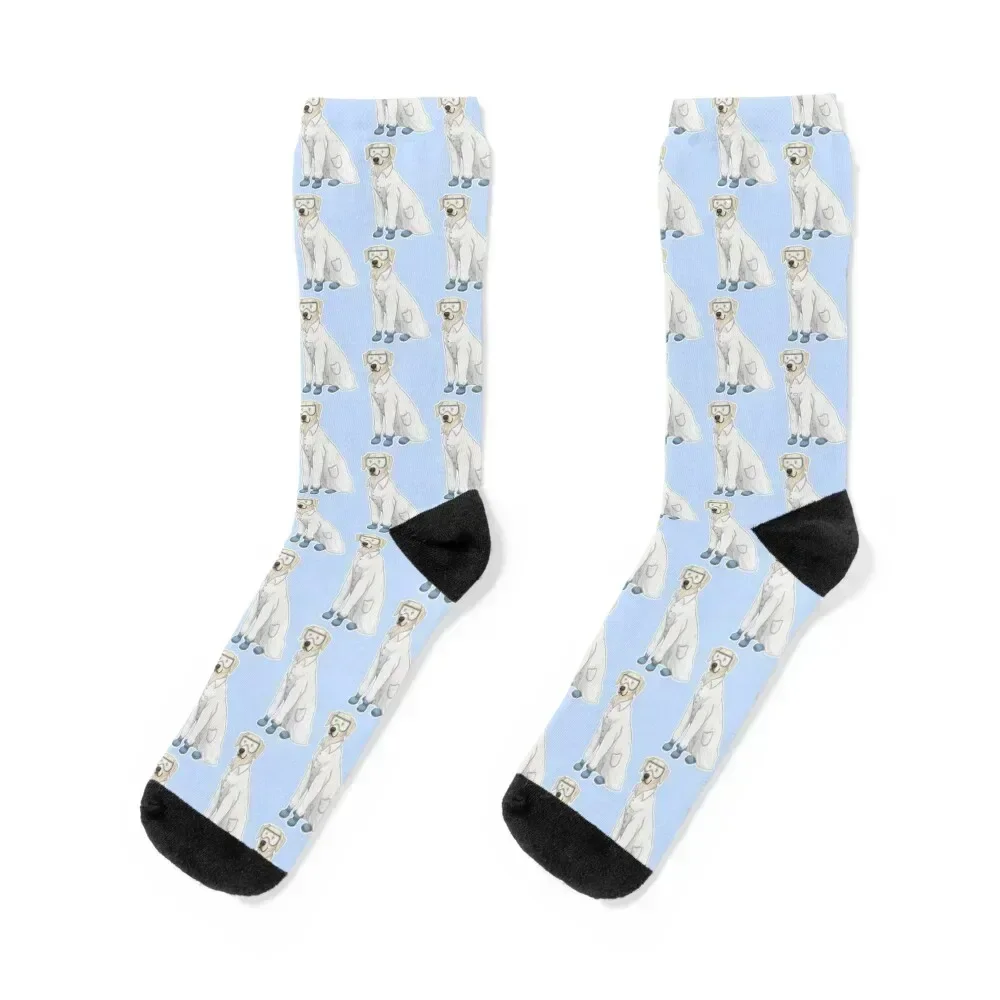 

Science Lab Socks aesthetic Novelties Christmas Men Socks Women's