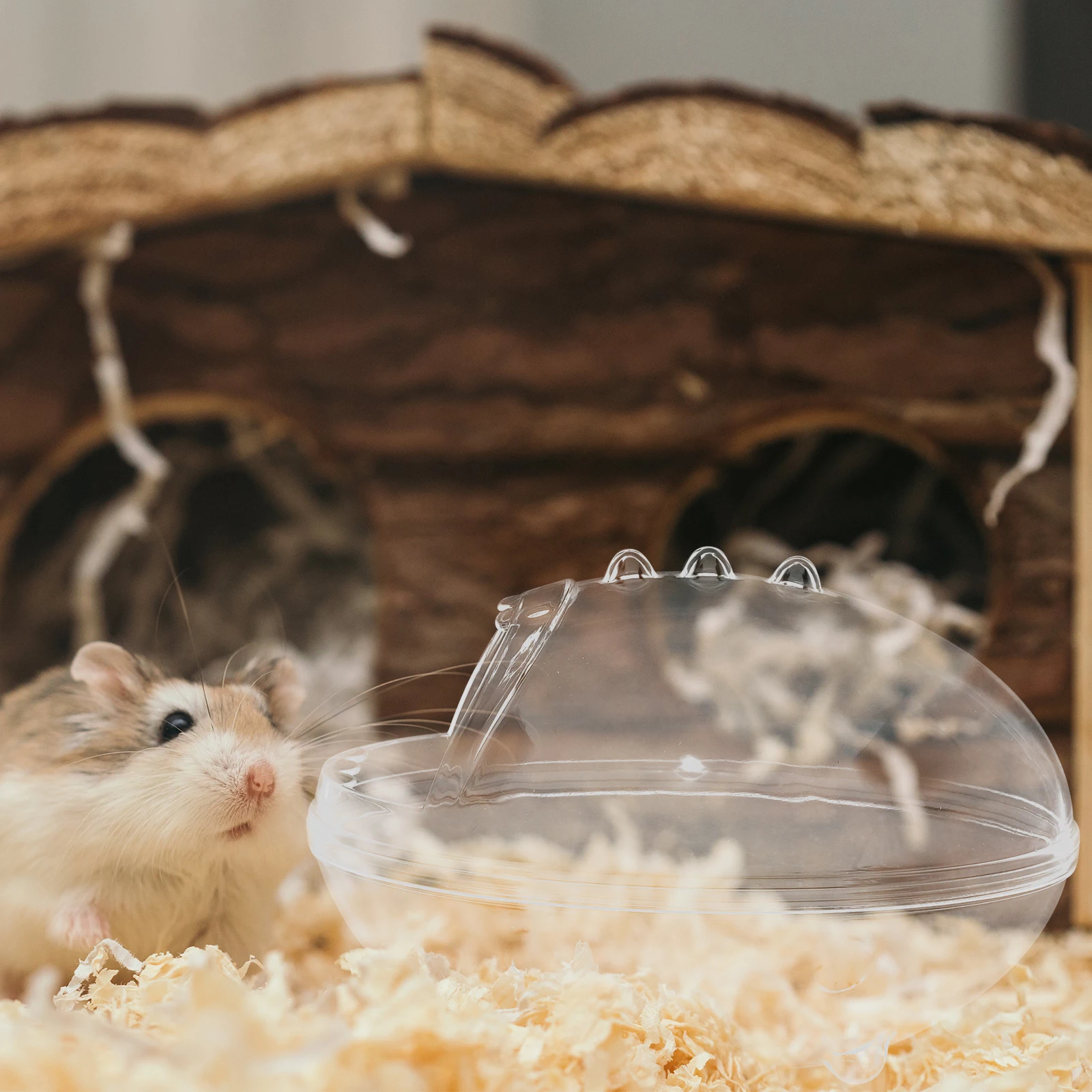 

Hamster Sand Bath Box Clear Chinchilla Bathroom Durable Resistant Easy Clean Practical Transparent Storage Pet Cage Accessory