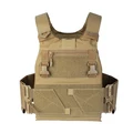 Coyote Brown