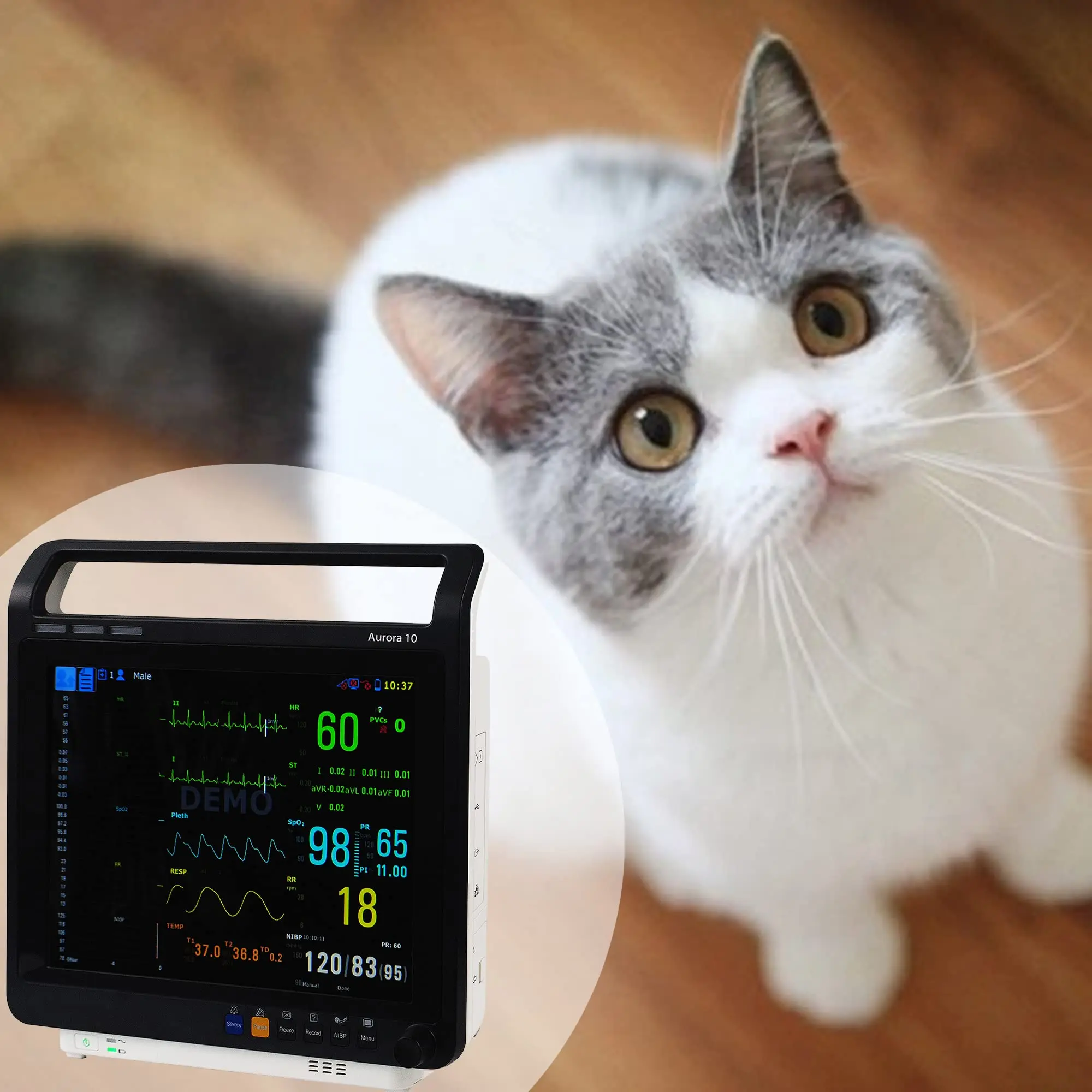 Veterinary Patient Monitor Multiparametric Signos Vitales 6 Parameters, Can be Controlled Suitable for Pet Dog, 10.4 Inch Screen