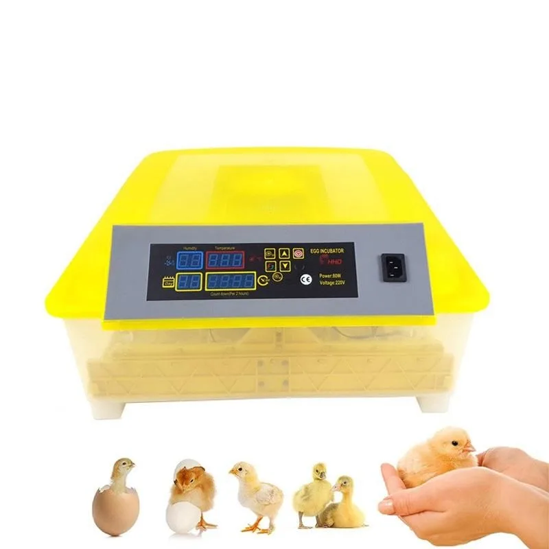 

Dual Power Egg Incubator Mini 48 Eggs Incubator for Sale
