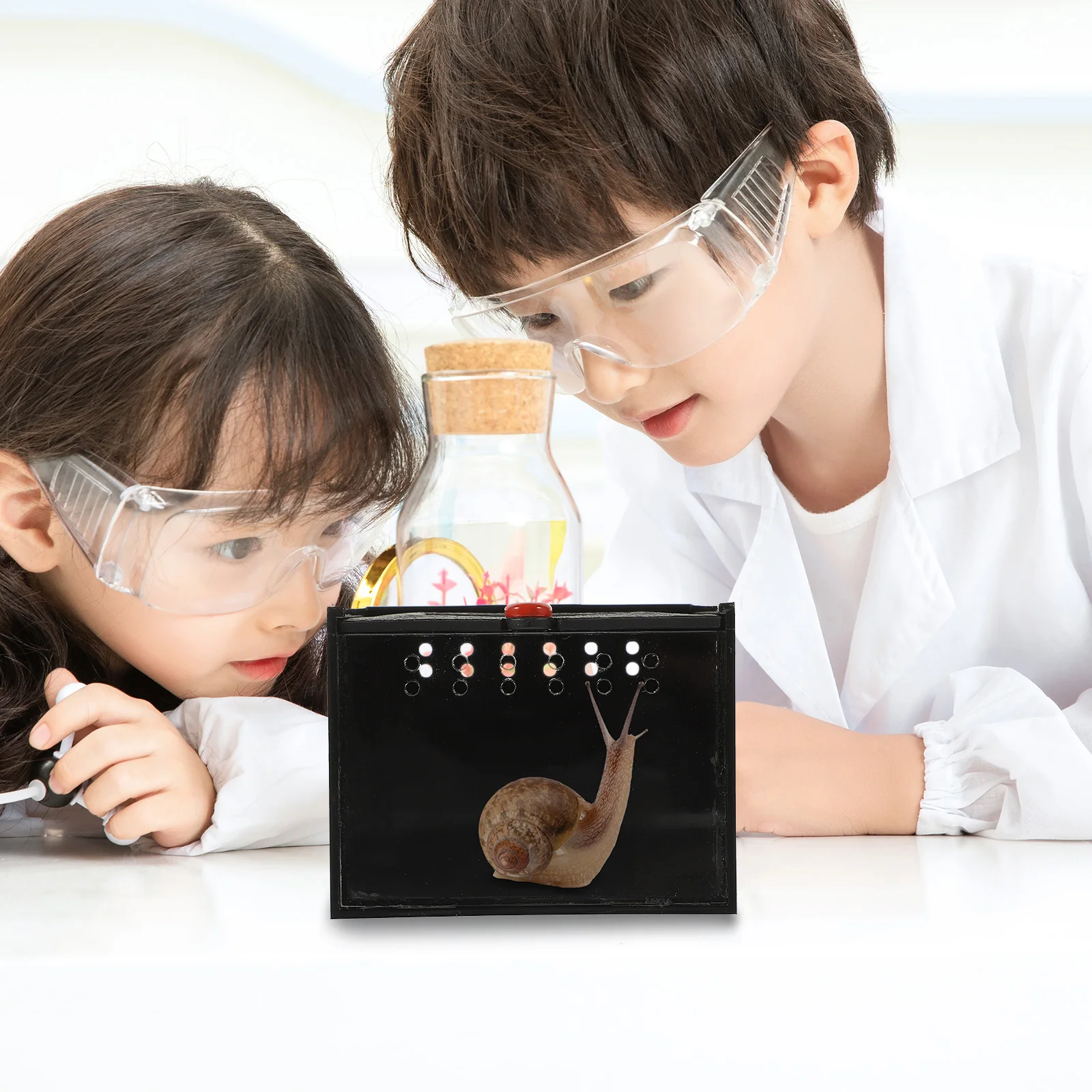 

Jumping Spider Ventilation Glass Container Boxes for Pet Spiders Habitat Enclosures Dome Fence Belt Insect Cage