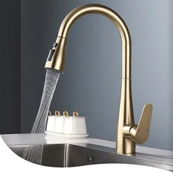 Rubinetto da cucina estraibile in oro spazzolato SUS304 rubinetto per lavello miscelatore rubinetto con rotazione di 360 gradi torneira cozinha miscelatore rubinetto da cucina