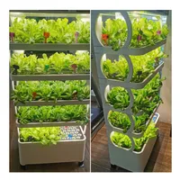 Automatic Home Garden smart farm grow hydroponic vertical farming system artificial vertical garden for indoor