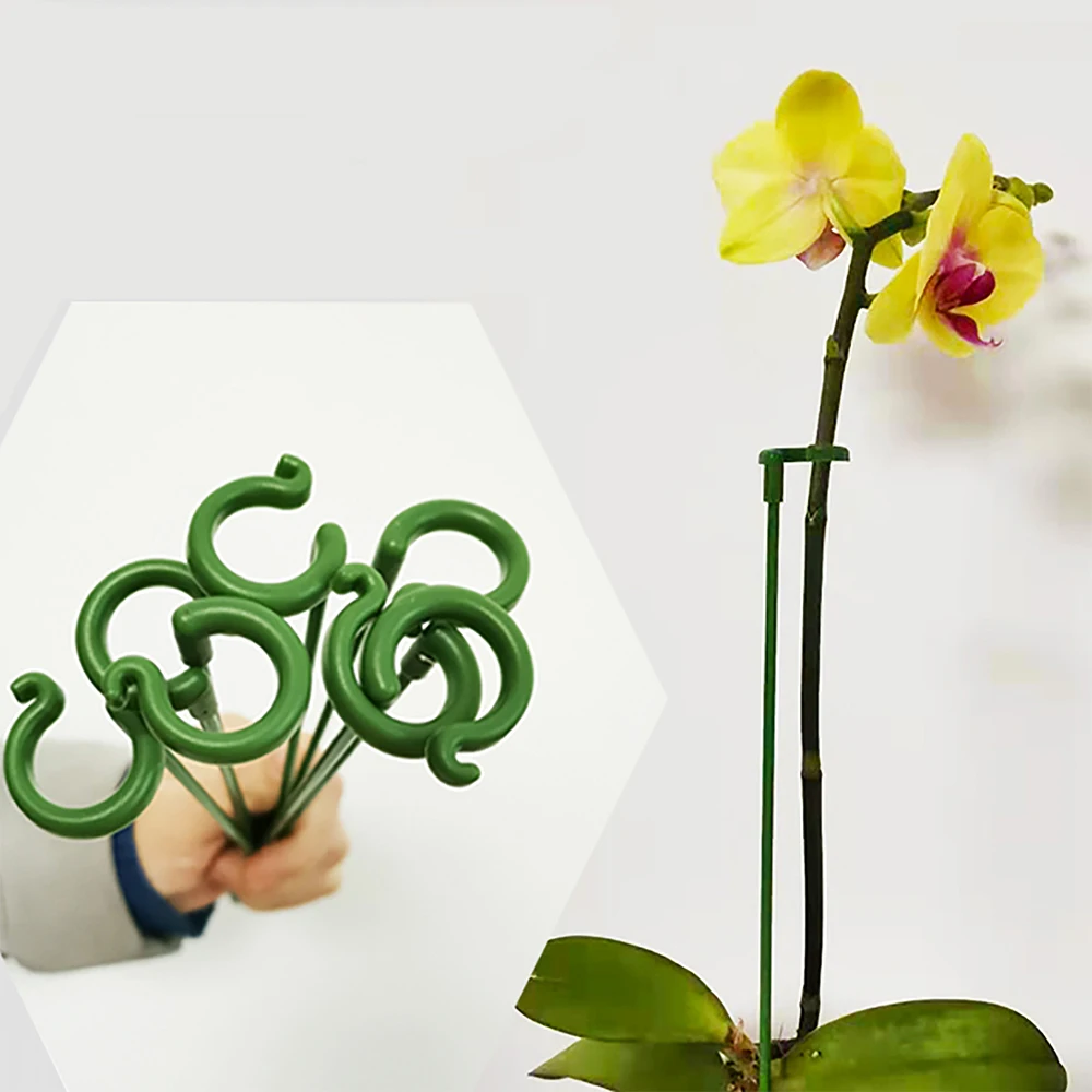 Estacas de soporte para plantas de jardín, flor de tallo único, orquídea Phalaenopsis, soporte dedicado, soporte de flores de plástico reutilizable