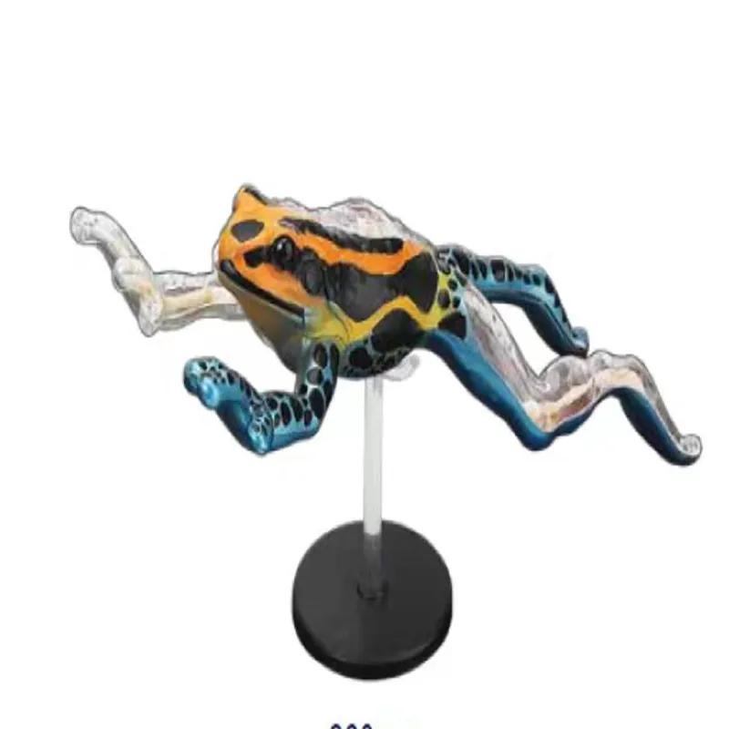 The anatomical model of poison dart frog is assembled to simulate the teaching model of animal biomedicine