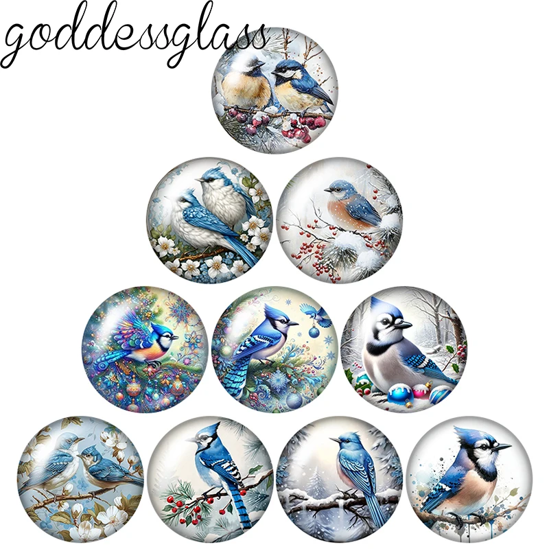 Winter Bird Blue Jay Holly Merry Christmas 10p 12mm/18mm/20mm/25mm Round photo glass cabochon flat back Making findings Jewelry