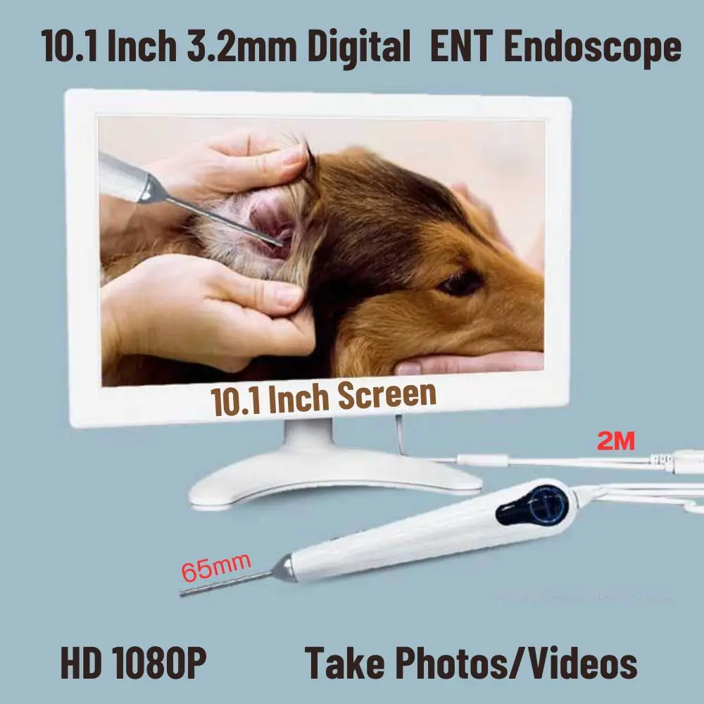 ENT Endoscope 3.2mm 10.1 Inch HD Screen Digital Otoscope Ear Scope  Ear Cleaner for clinic, With 3500mAh Rechargeable Battery