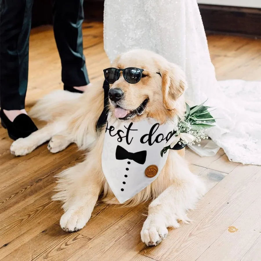 أفضل عصابات الزفاف للكلاب قابلة للعكس مكونة من قطعتين من كلب الشرف والخطوبة قابلة للتعديل للكلاب المتوسطة والكبيرة والكبيرة والغاية باللون الأسود
