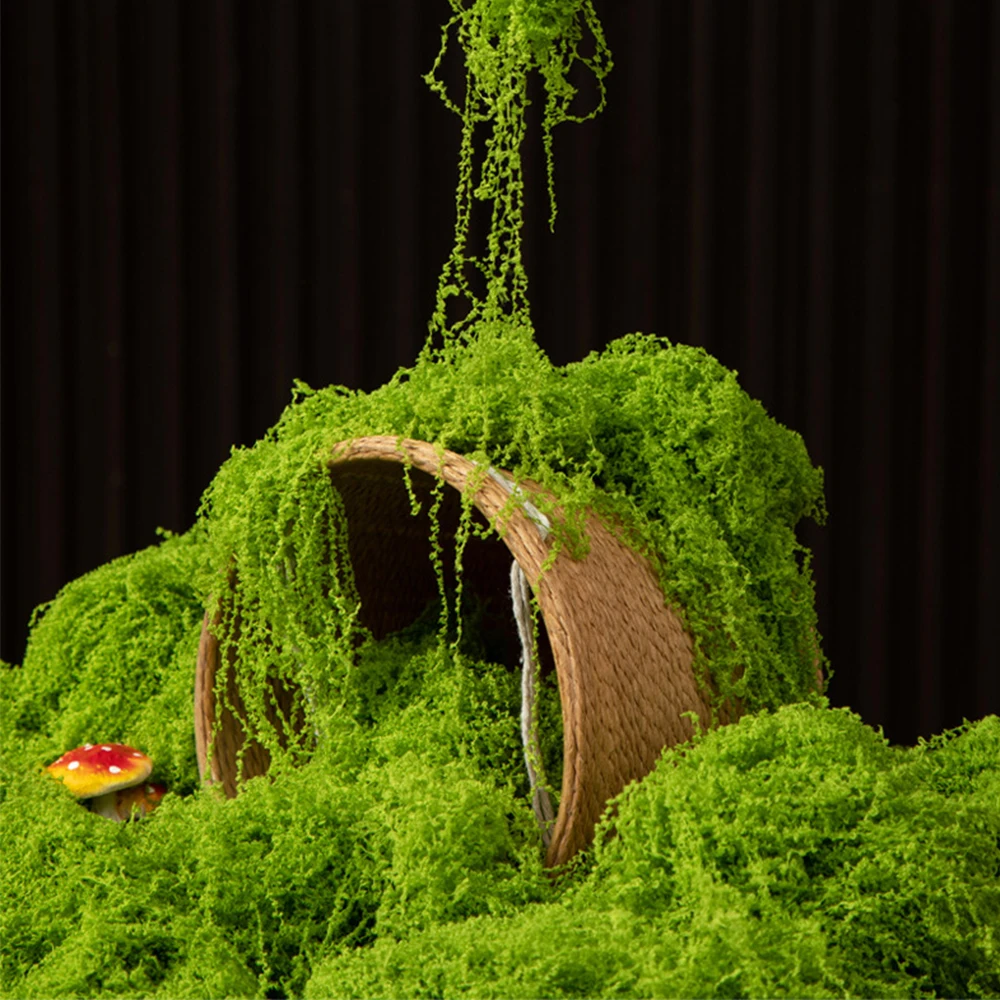 Plantes vertes artificielles d - Sphagnum Moss Dry avis et prix