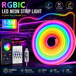 5V RGBIC Neon LED Strip Bluetooth APP Control Music Sync Dream Color Chasing Light For Home Party Holiday Wall DIY Decoration