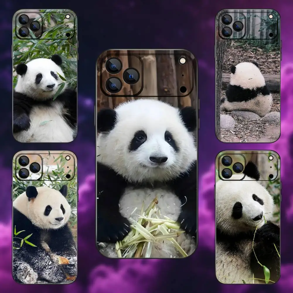 

Animal Panda Fubao Phone Case For iPhone 17,16,15,14,13,12,Pro,Max,Plus,E,SE4,Air,Mini Black Soft Box