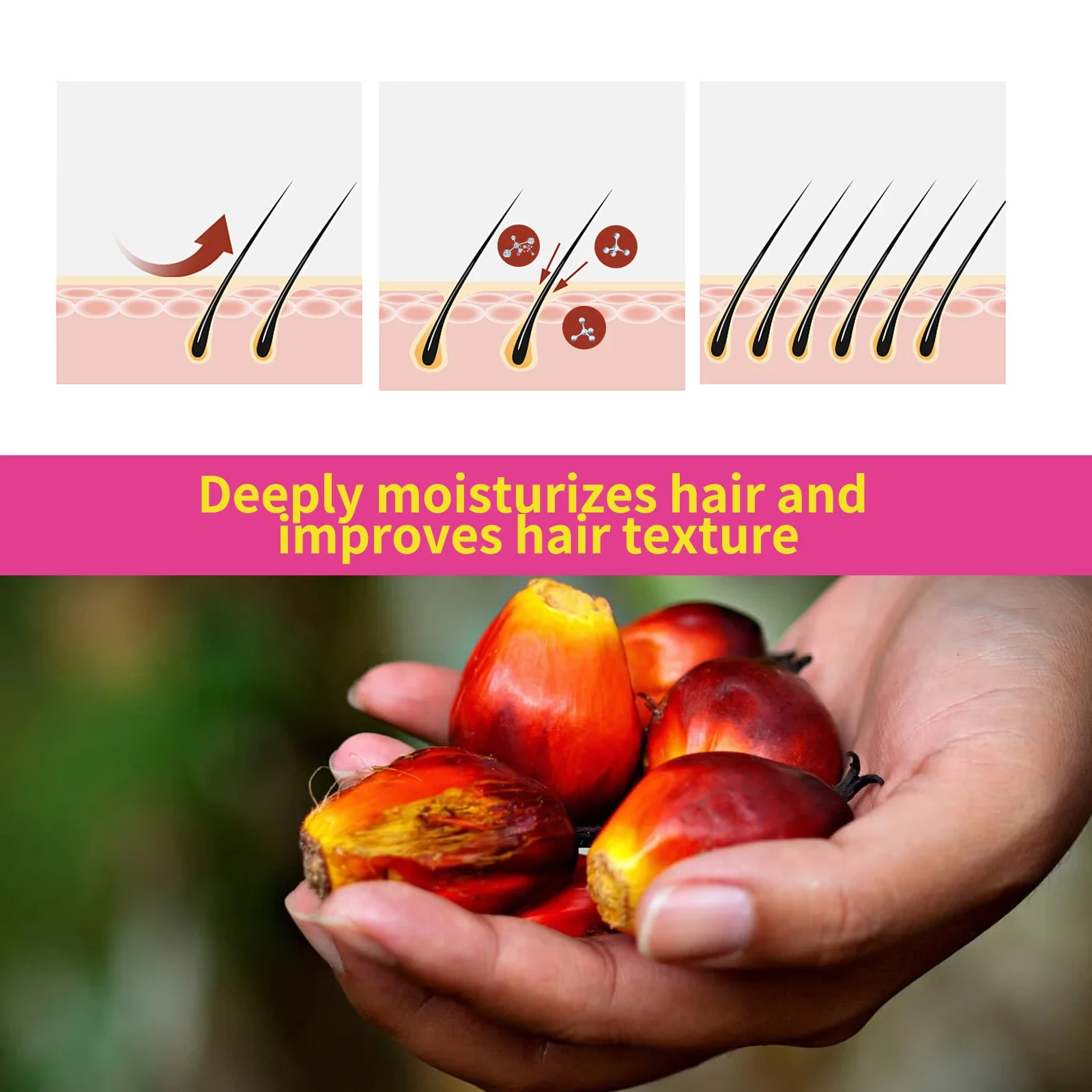 바타나 오일, 빠른 모발 성장 강한 모발 손상 방지 갈라진 끝 부분 복구 건조한 모발을 위한 실키한 건강한 모발 관리 탈모 방지