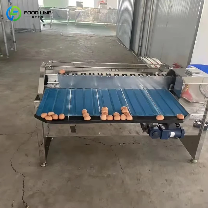 High Quality Mini Automatic Egg Grading Production Line Egg Weigh Sorting Grader Machine