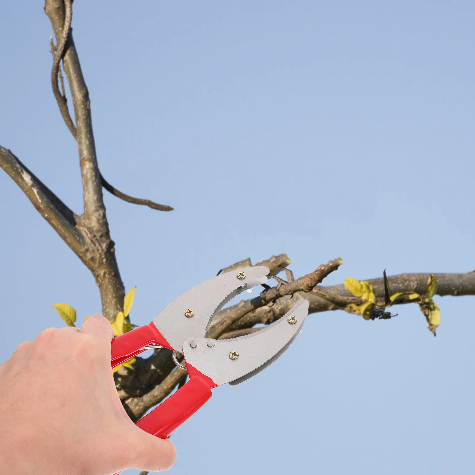 

1Pcs Adjustable Fruit Tree Girdling Cutter Durable Girdling Tool for Planting Pruning Bark Stripping Fruit Tree Planting Tool